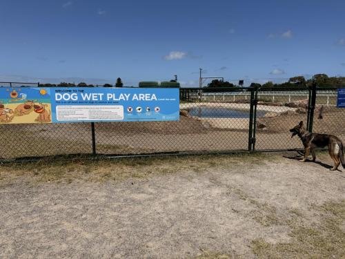 Dog wet play area