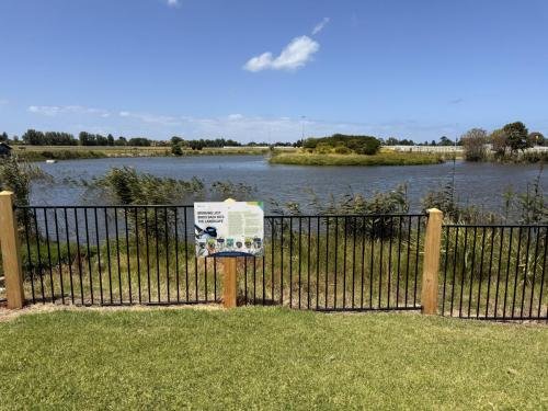 The lake area with some ducks and fish